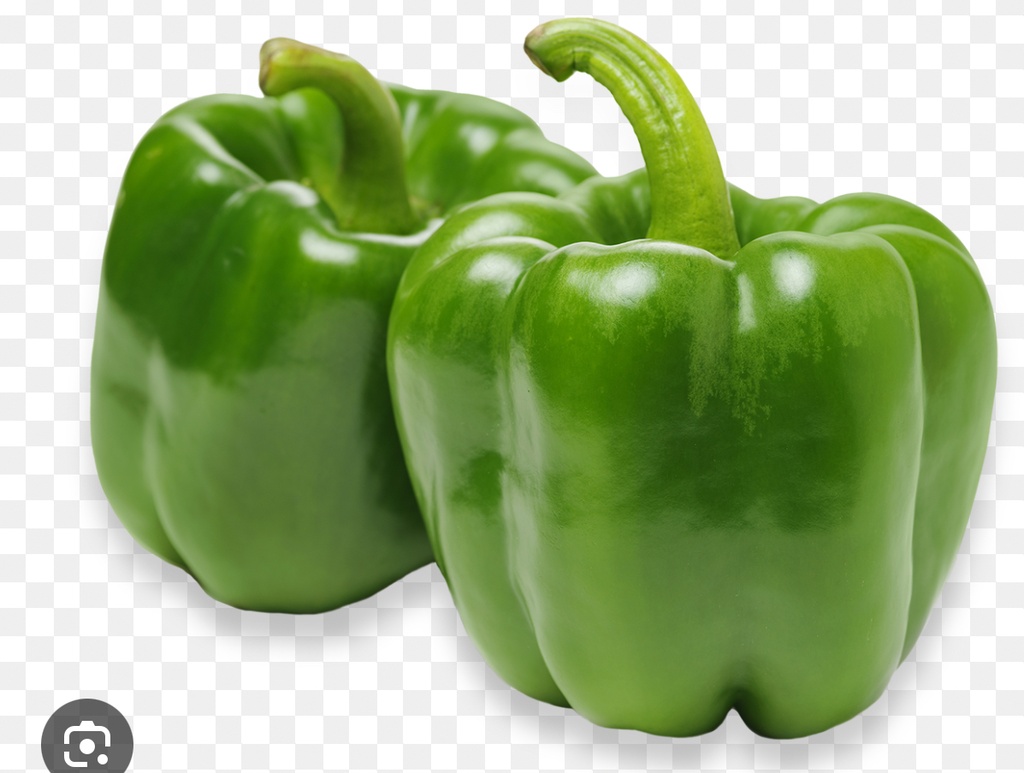 CAPSICUM 500 gm