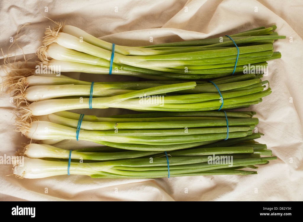 ONION LEAF BUNDLE 