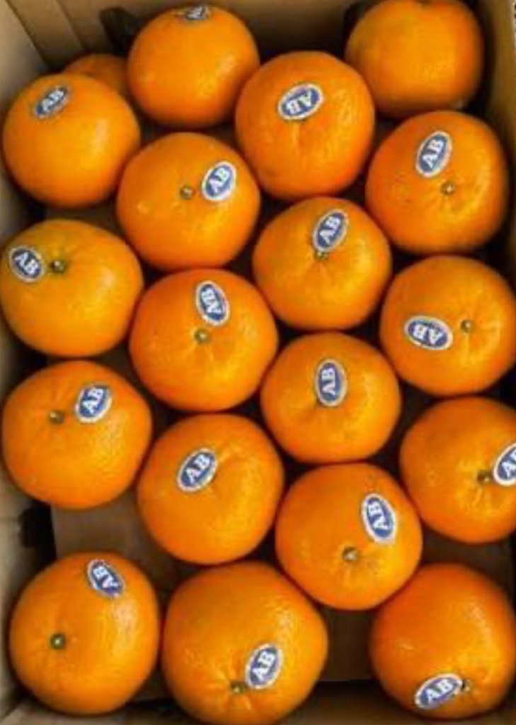 ORANGE Pakistani 1 kg