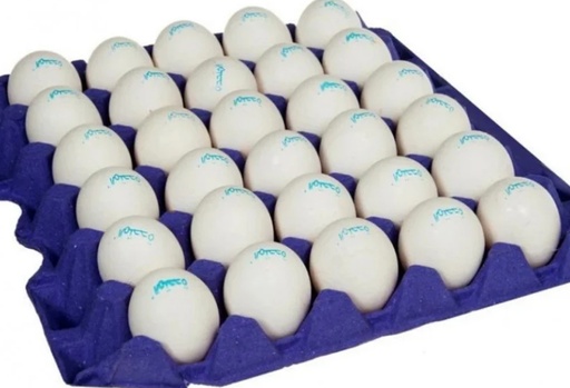 [1120] Egg tray 60/70