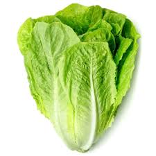 [1120] لاتوس/خاص لابناني