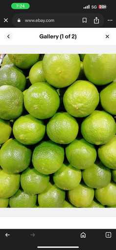 [1120] LEMON green 250 gm